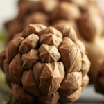 Topinambur jak smakuje – smak, który zaskakuje i inspiruje w kuchni Topinambur jak smakuje